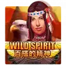 WildSpirit