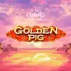 Golden Pig