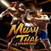 Muay Thai Champion