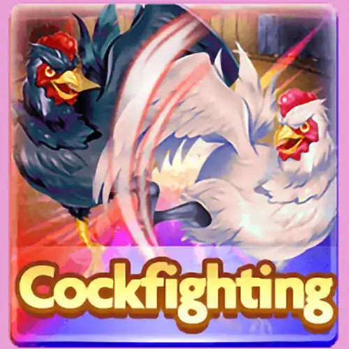 CockFighting