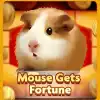 Mouse Gets Fortune