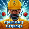 Cricket Crash