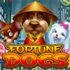 Fortune Dogs