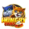 Hungry Cats