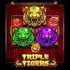 Triple Tigers